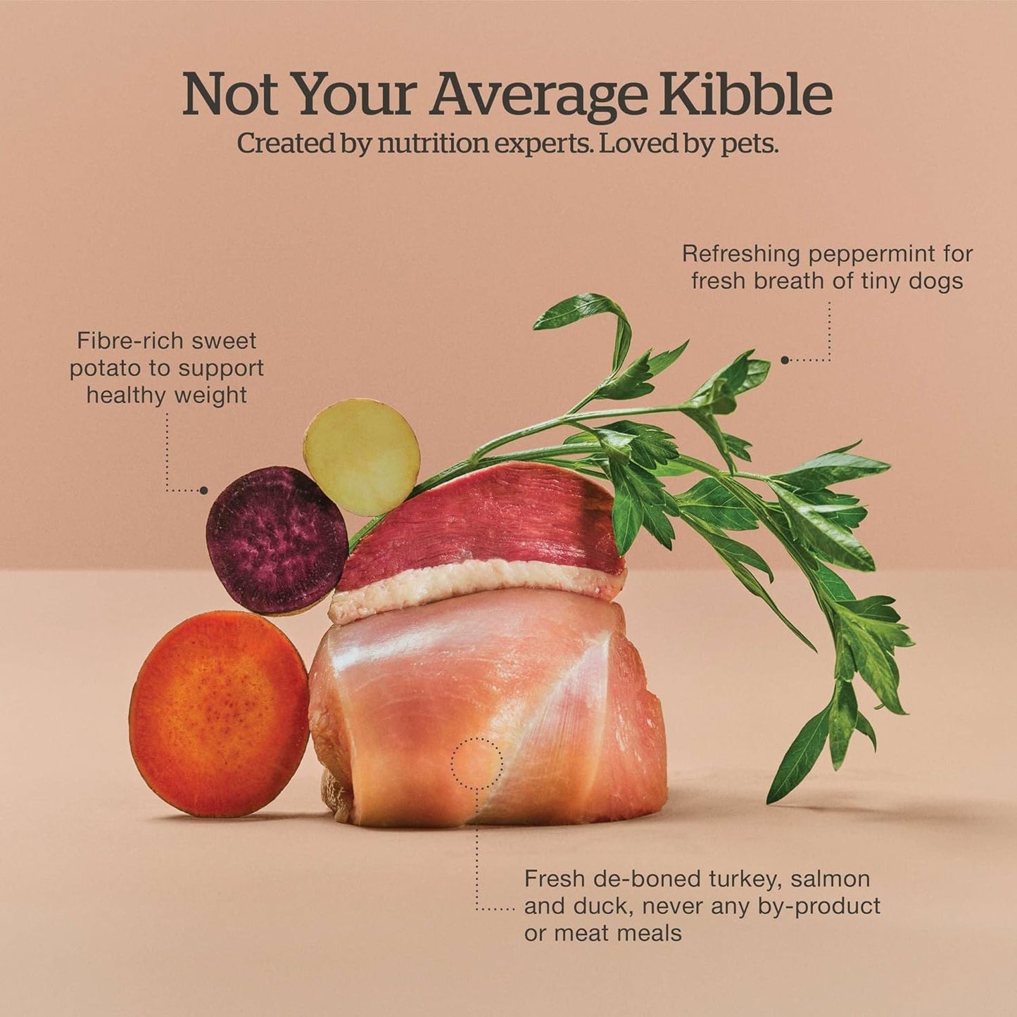 Now Fresh Grain-Free Small Breed Dry Dog Food with Turkey, Salmon & Duck, Healthy Kibble for Adults Made with Real Meat & Fish, Chicken-Free Recipe, Pumpkin & Probiotics for Good Digestion, 12 lb Bag