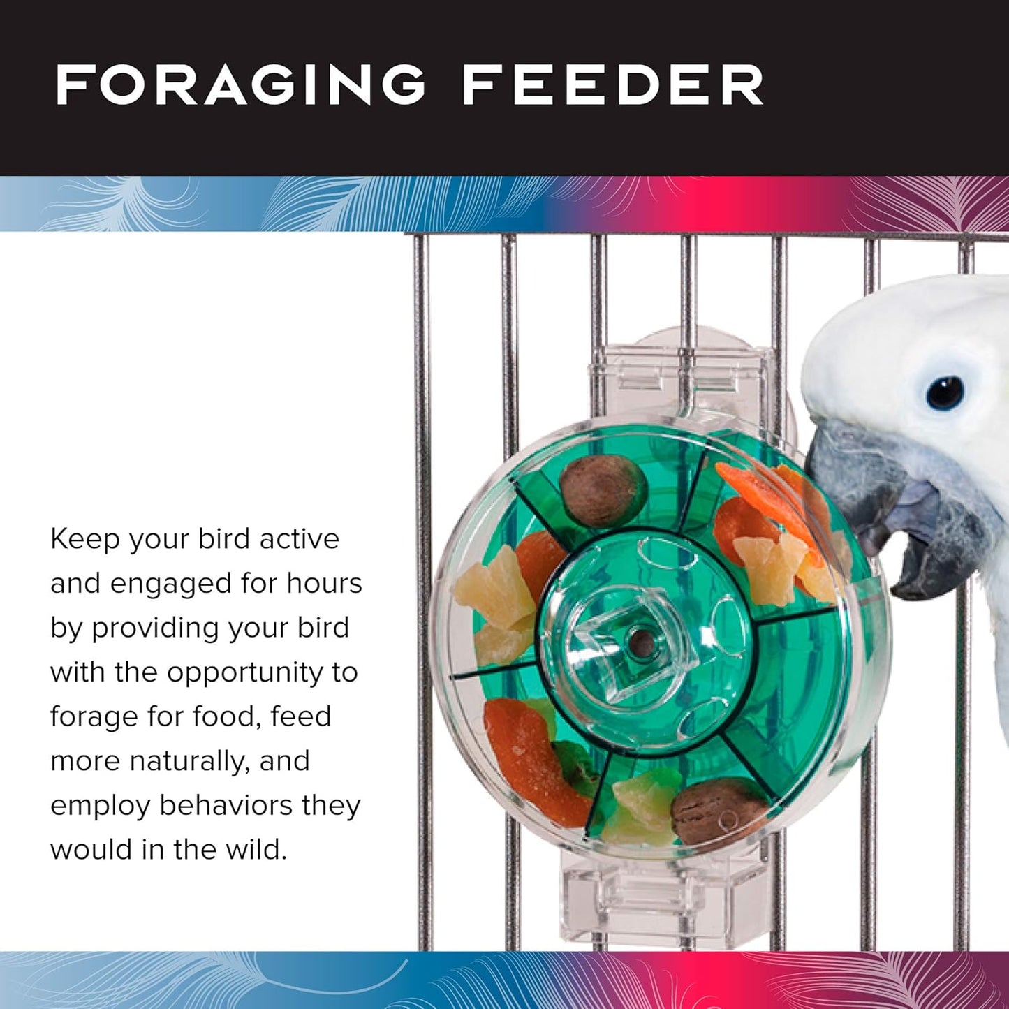 Featherland Paradise - Creative Foraging Systems Bird Cage Feeder (Gen II) - Extra Large- Intermediate Level Foraging Wheel - Interactive Bird Feeder for Large Birds