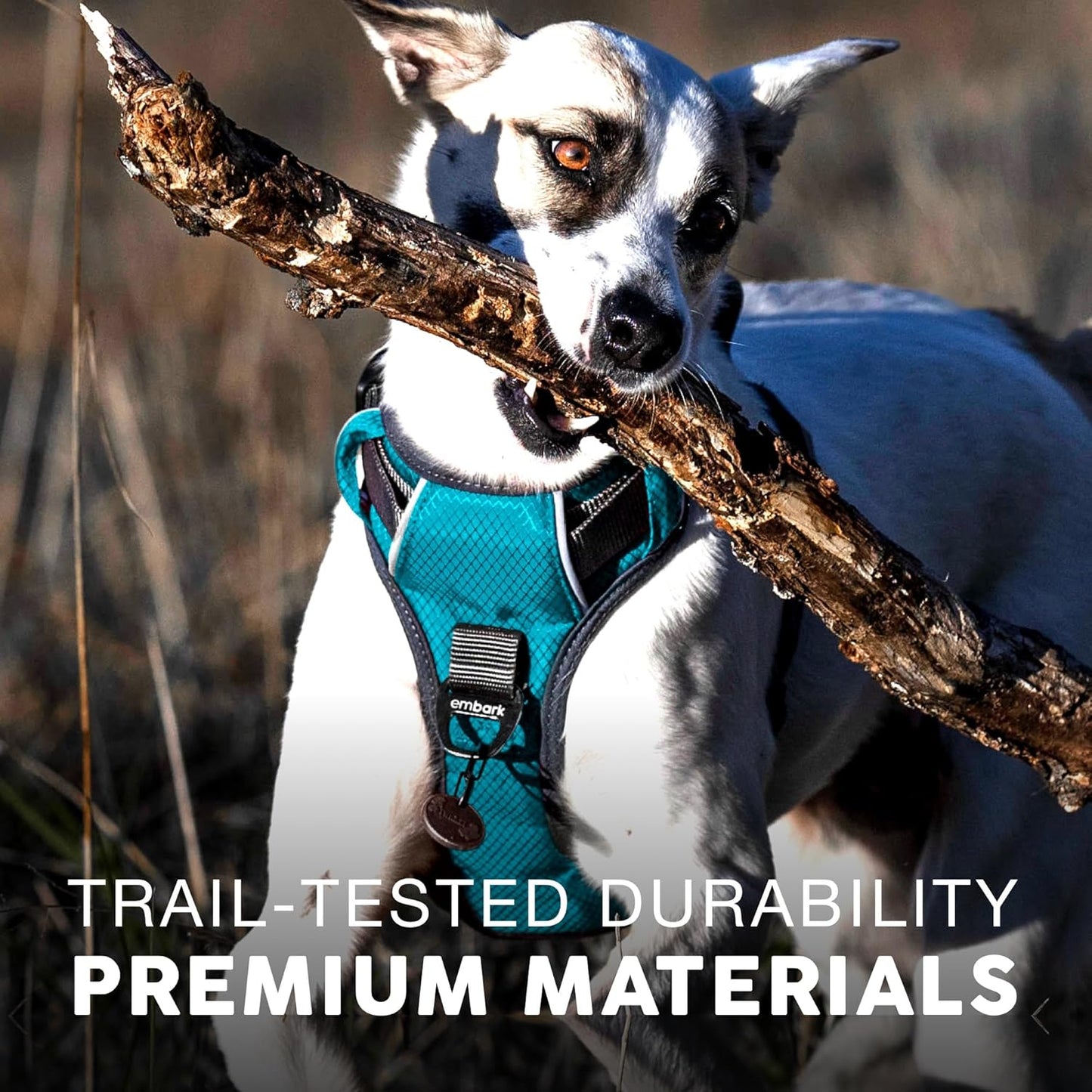 Embark Adventure Dog Harness, Easy On and Off with Front and Back Leash Attachment Points & Control Handle - No Pull Training, Size Adjustable and No Choke (Small - Teal Blue)