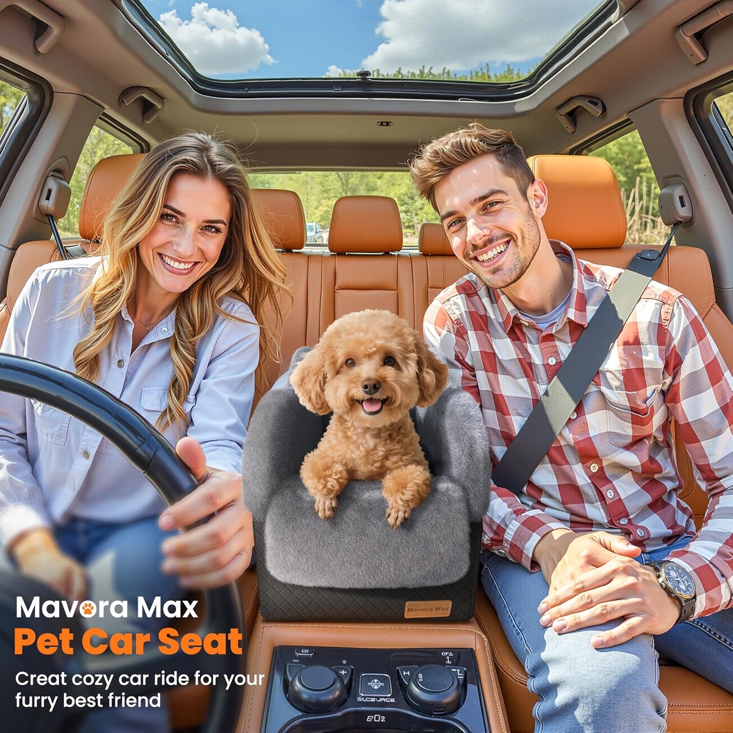 Portable Small Dog Seat for Car(Up to 11LB),Luxury Center Console Dog Car Seat Booster with Safety Tethers,Auti-Collapse Pet Travel Carrier for SUV,Truck.(Black/Grey)