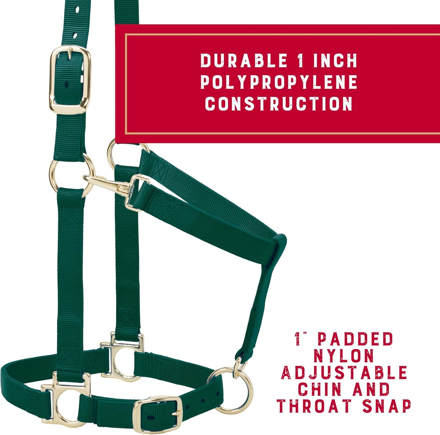 Weaver Leather Nylon Horse Halter, Padded and Adjustable, Chin and Throat Snap Hook Halters for Horses, Brass Plated Halters for Training