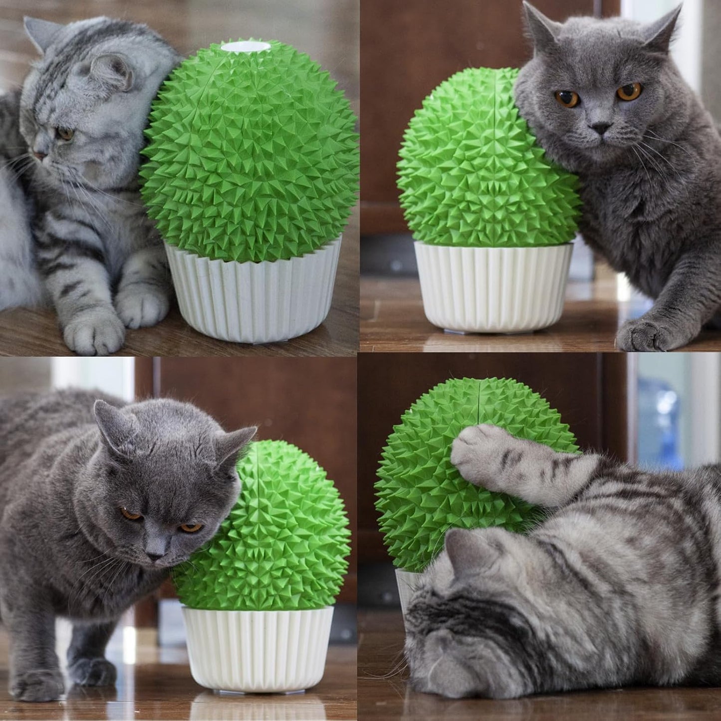 Catnip Feeder - Cat Face Scratcher Wall Corner Massage Comb for Indoor Cats Self Grooming Brush (Green)