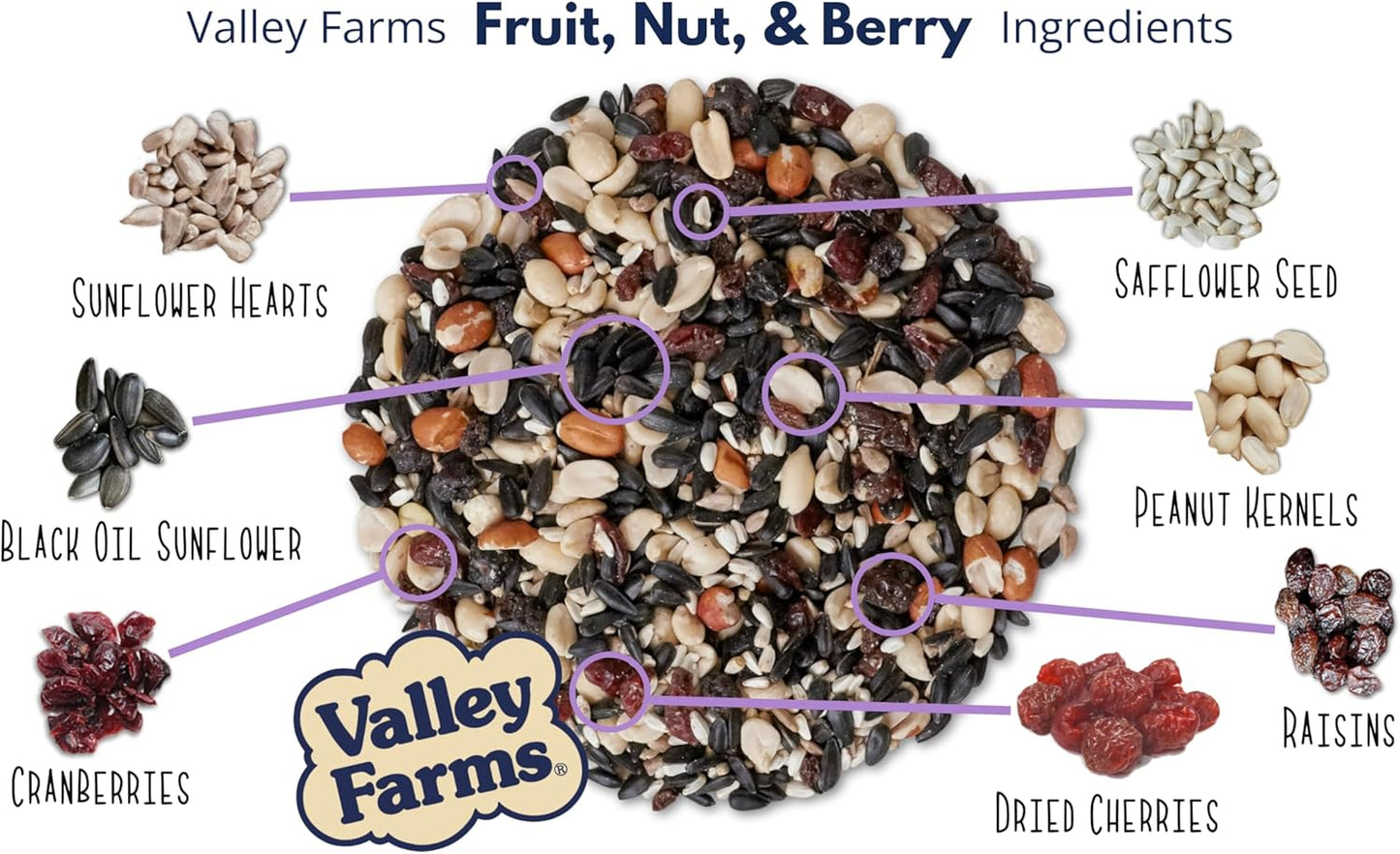 Valley Farms Fruit Nut & Berry 4 LB 2-Pack (8 LB Total) Wild Bird Food for Outside Feeders, Bird Seed with Dried Fruit, Peanuts Sunflower Hearts, Safflower High Energy Mix for Healthy Birds!