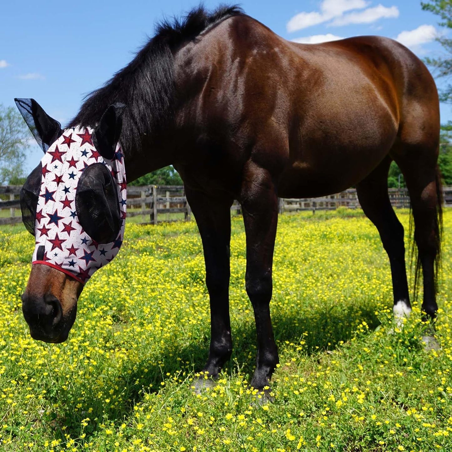 Harrison Howard Super Comfort Stretchy Fitting Horse Fly Mask with UV Protection Soft on Skin with Breathability Dream Star Full Size
