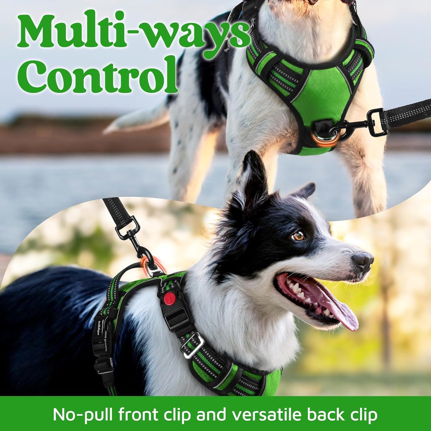 rabbitgoo Dog Harness for Large Dogs, No Pull Pet Vest with 3 Buckles, Adjustable Soft Padded Pet Harness with Easy Control Handle and Reflective Strips, Green, L