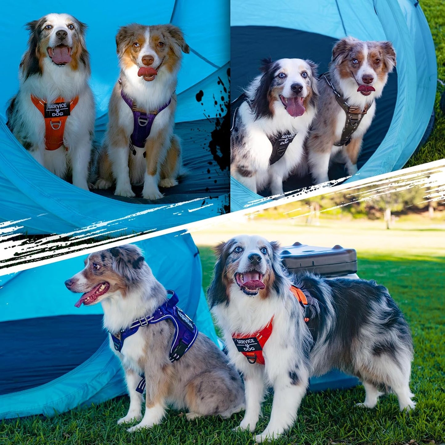 rabbitgoo Tactical Dog Harness for Large Dogs, No Pull Military Service Vest with Handle & Molle, Easy Control for Training Walking, Adjustable Reflective Straps, Purple, L