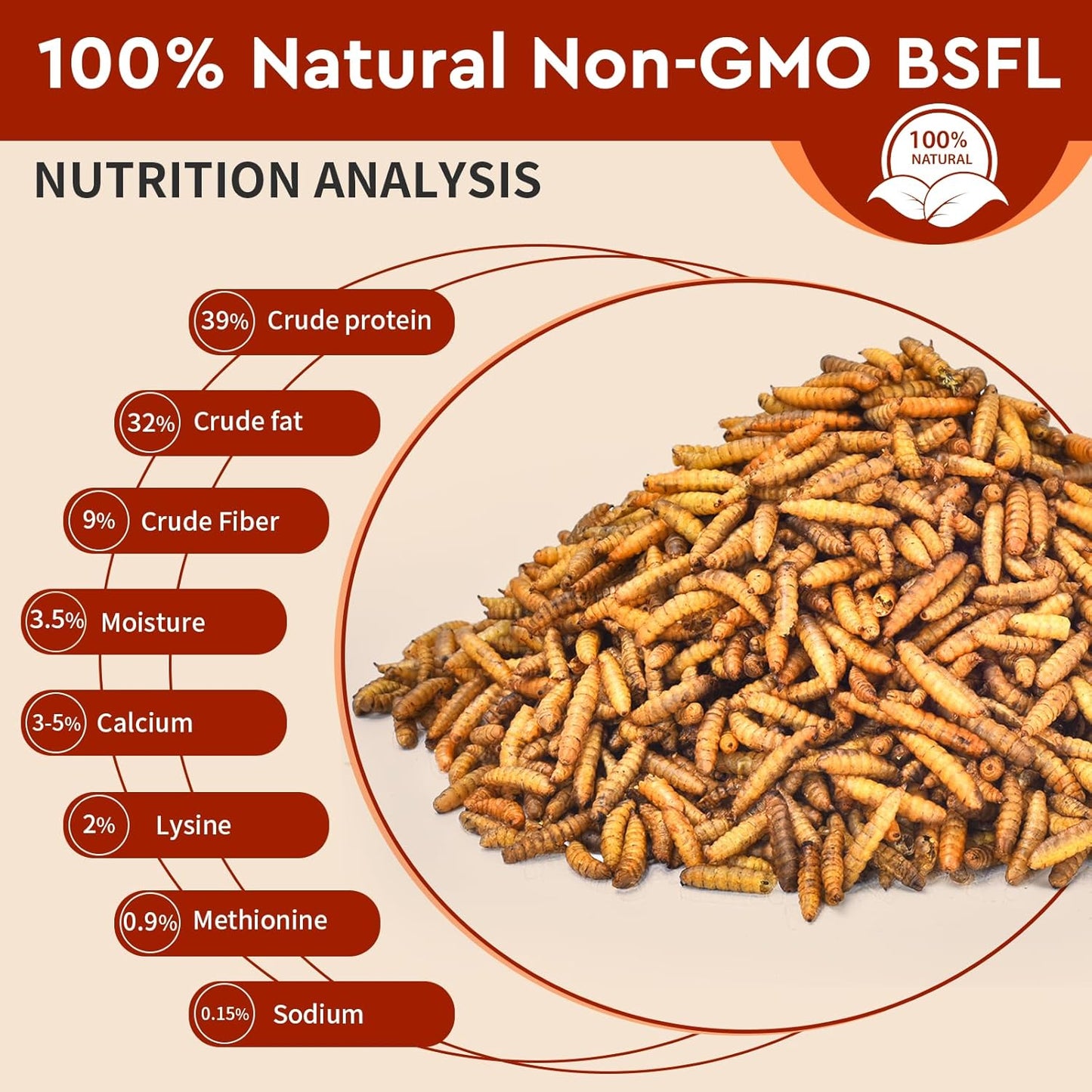 Dried Black Soldier Fly Larvae 10LB, 100% Natural Non-GMO, No Additives, Treat for Chickens, Reptiles and Birds, More Calcium Than Mealworms