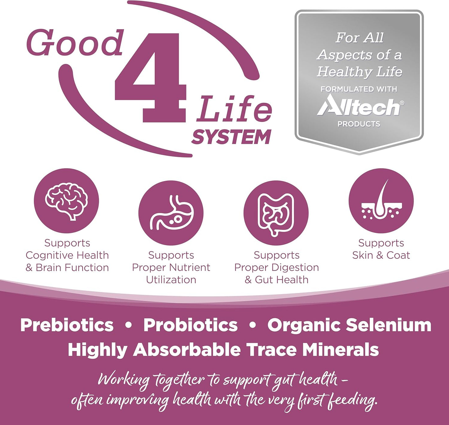 NutriSource Element Series Wild Range Dry Dog Food, Chicken, Pork & Bison, 24LB