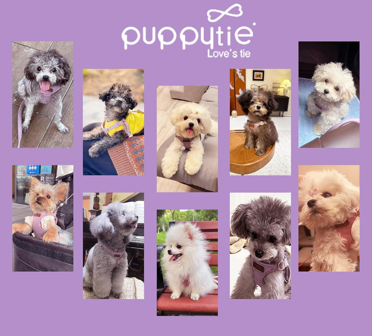 Puppytie No Pull xs Dog Harness with Multifunction Dog Leash,Soft Adjustable No Choke Escape Proof Pet Harness Vest,Light Purple,XS