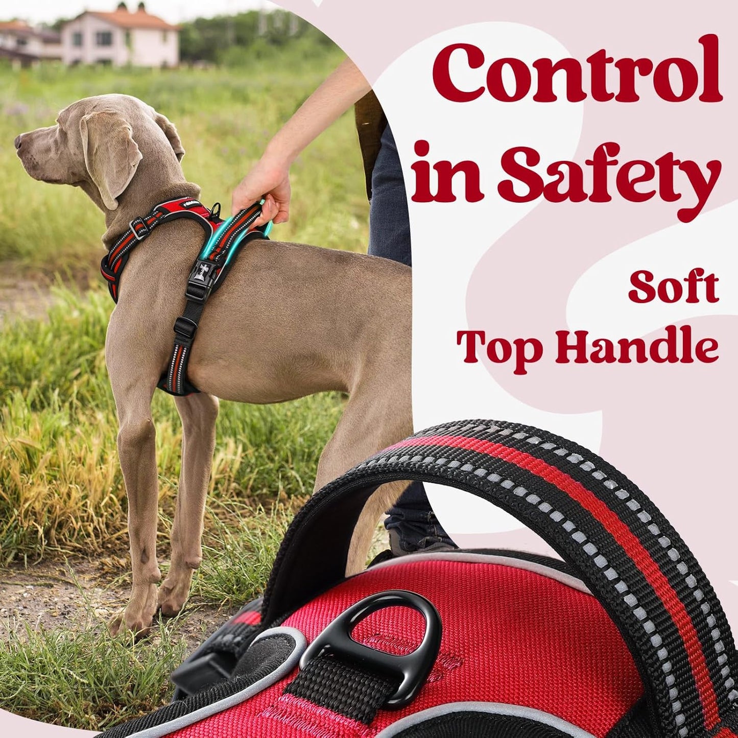 rabbitgoo Dog Harness Small Sized, No Pull Pet Harness with 3 Buckles, Adjustable Soft Padded Vest with Control Handle, Walking Reflective Pet Vest for Small Dogs, Red, S