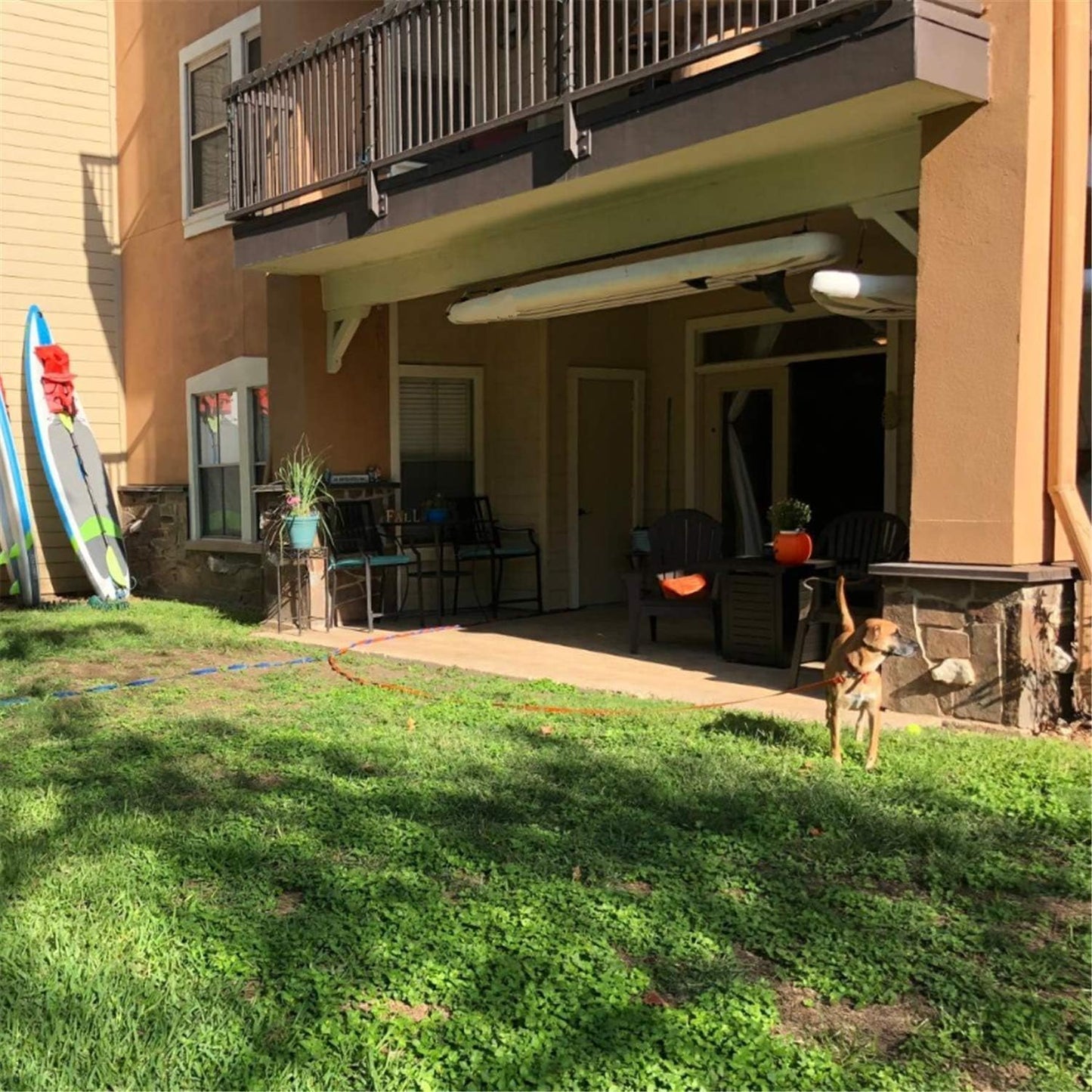 Dog/Puppy Obedience Recall Training Agility Lead - 15ft 20ft 30ft 40ft 50ft Training Leash - Great for Play, Camping, or Backyard (Military Green, 40 Feet)