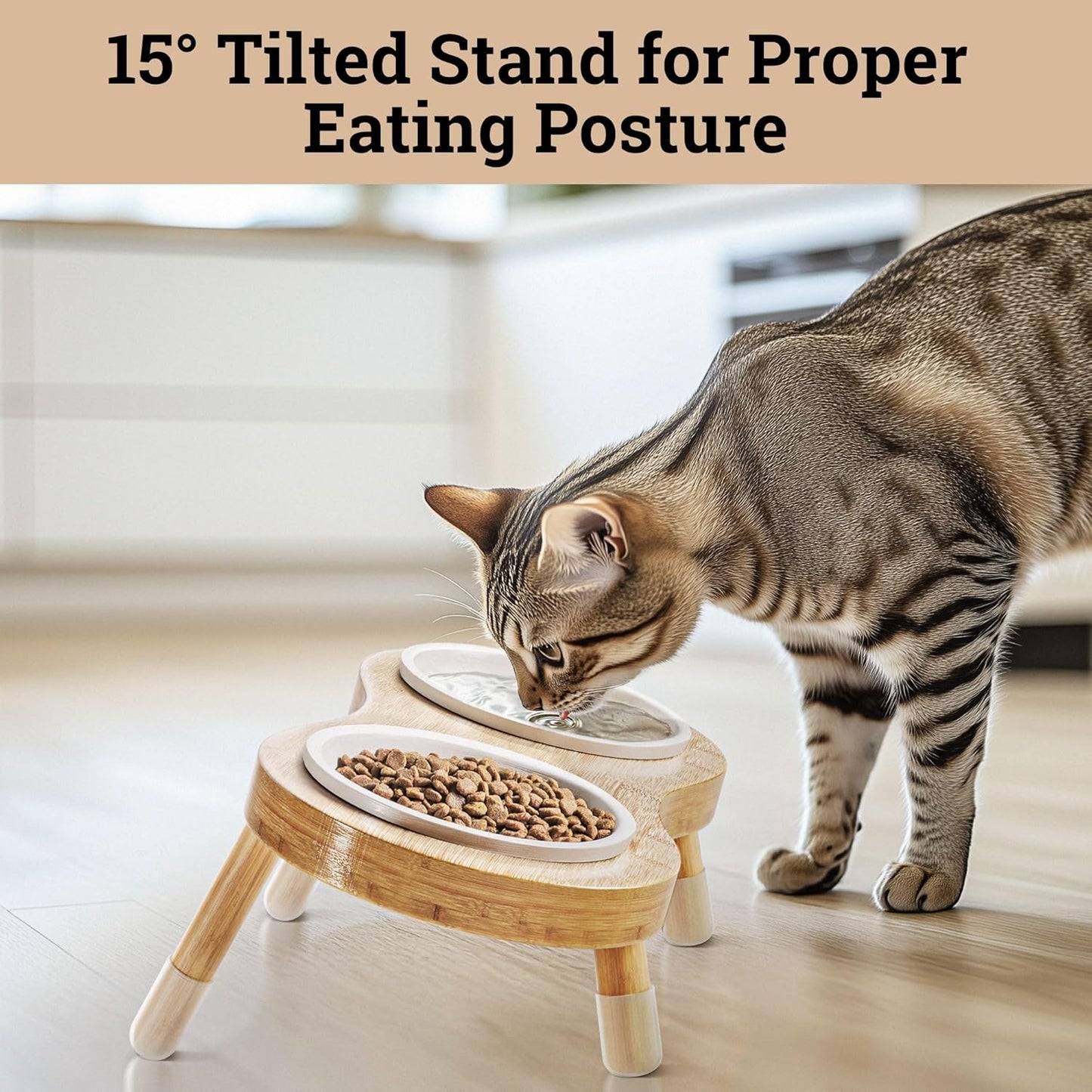 Elevated Cat Bowls - Set of 2 Ceramic Pet Food Bowls with Anti-Slip Bamboo Stand - 15 Degree Titled - Raised Dog Bowl for Small Dogs - Raised Cat Bowl Stand - Pet Feeding Station for Cats & Small Dogs