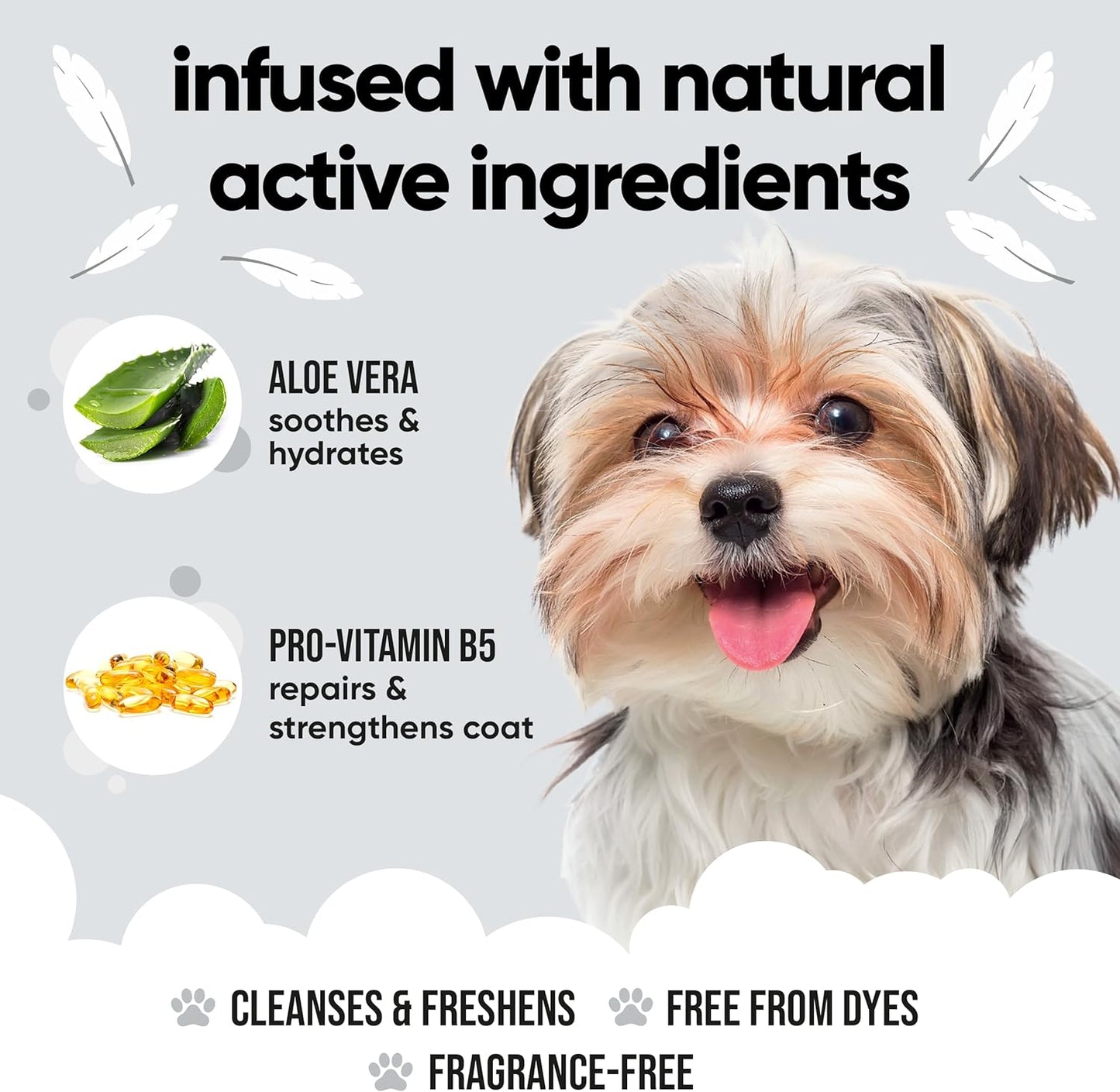 Derma Sensitive Dog Shampoo with Aloe Vera and Pro Vitamin B5 (169.07oz)