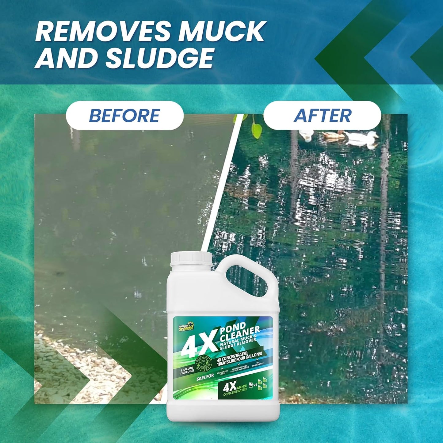 1 Gallon 4X Pond Cleaner - Treats Like 4 Gallons & Covers 4 Acres - Pond Cleaner for Outdoor Ponds, Pond Muck and Sludge Remover for a Clean, Natural Look, Ideal Pond Clarifier for Outdoor Ponds