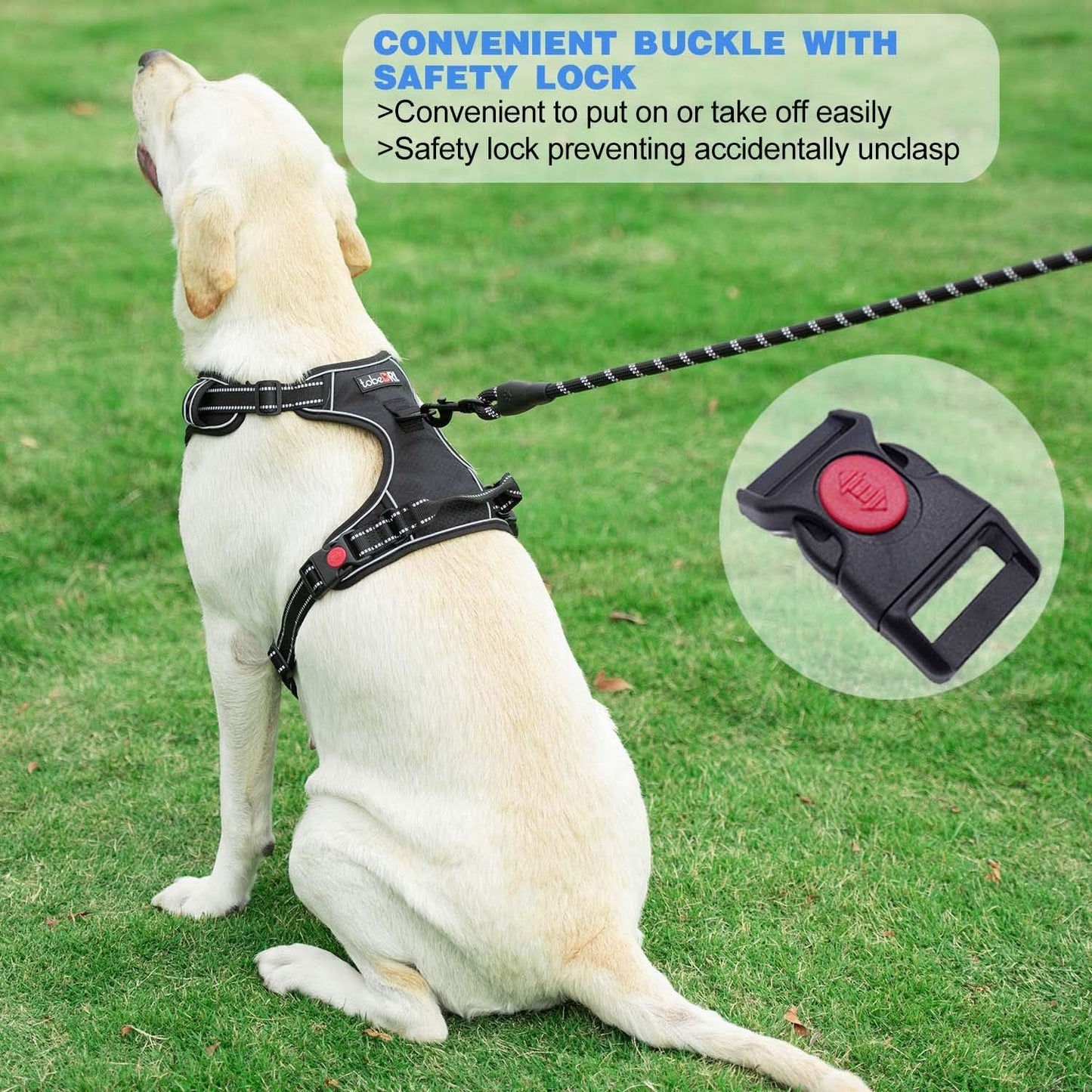 No Pull Dog Harness Adjustable Reflective Oxford Easy Control Medium Large Dog Harness with A Free Heavy Duty 5ft Dog Leash (M (Chest: 22"-26"), Red Harness+Leash)
