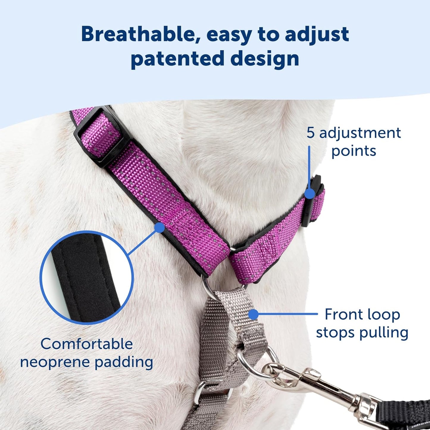 PetSafe 3 in 1 Dog Harness - No Pull Solution for Dogs - Reflective Dog Harness - Front D-Ring Clip Helps Stop Pulling - Comfortable Padded Straps - Top Handle Enhances Control - Teal - Medium