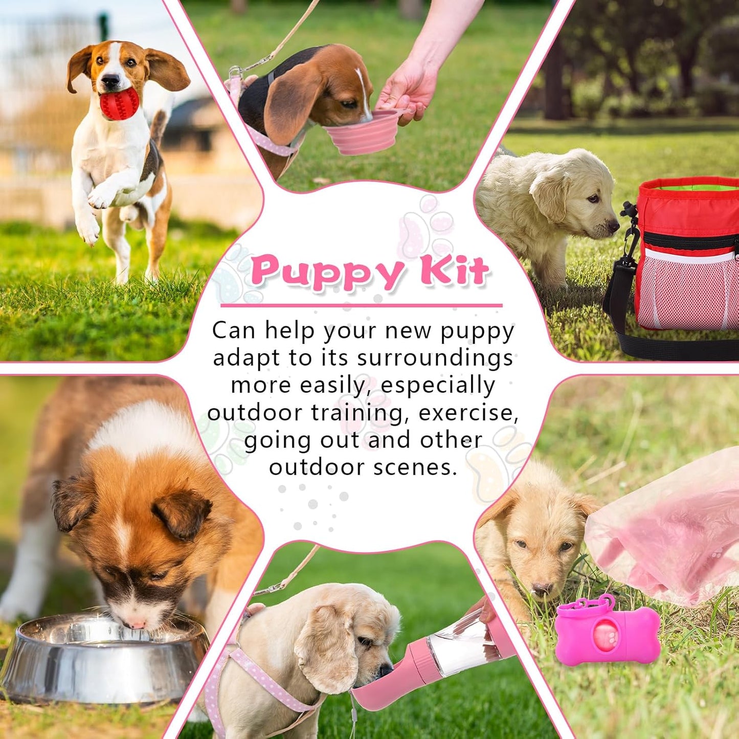 65 Pcs Puppy Supplies Starter Kit Small Dog Essentials Includes Dog Leash, Toys, Bowl, Brushes, Water Bottles, pet Blankets Puppy Accessories for New Welcome Gift Supplies(Cute,Pink)