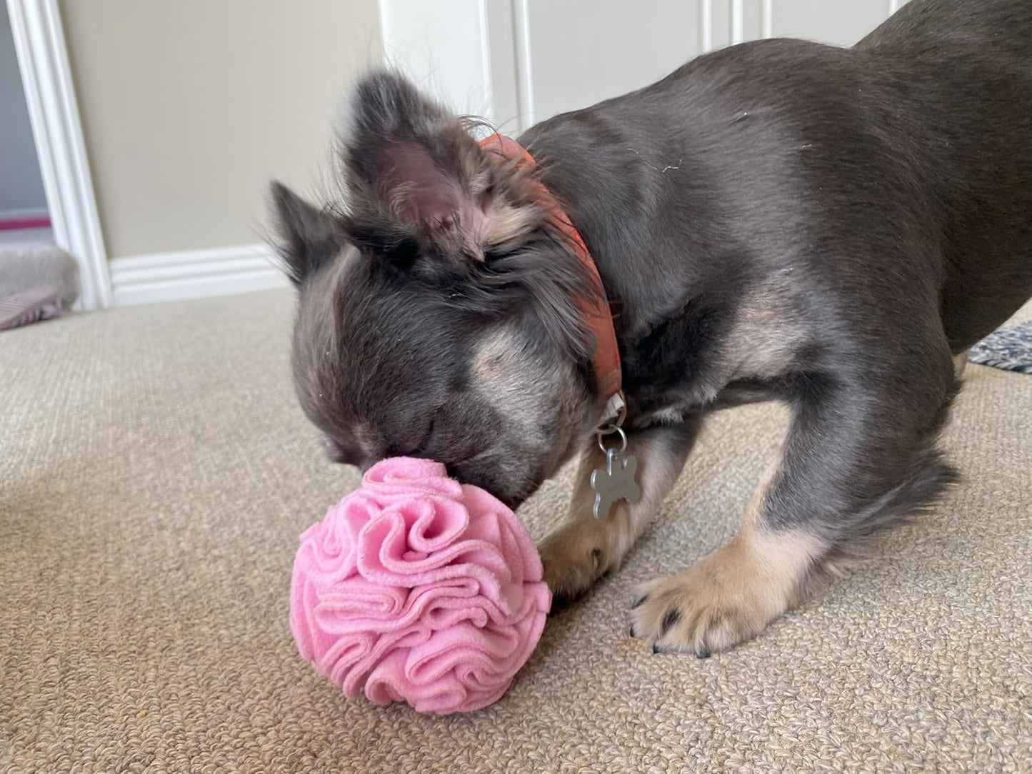 Glory To Dog Puppy and Small Breed Snuffle Interactive Foraging Dog Puzzle Ball Toy Pink Small