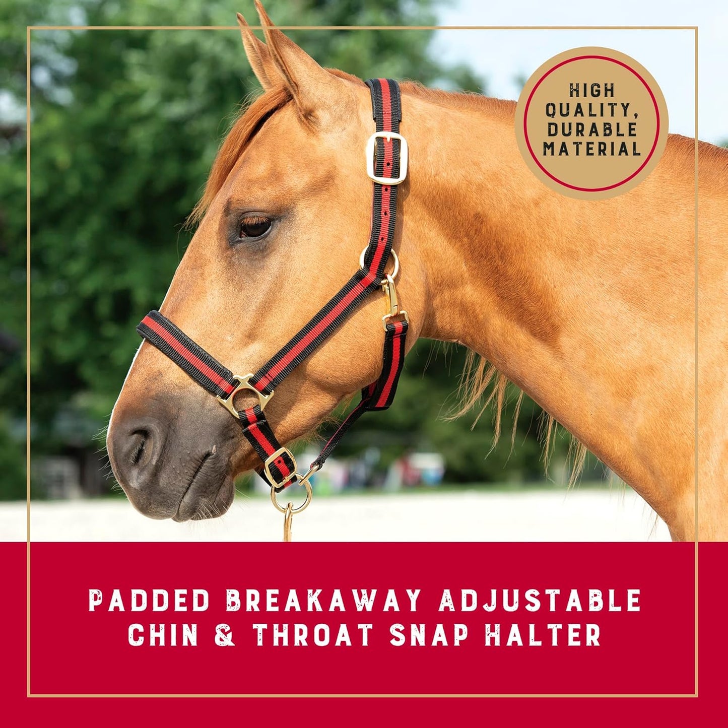 Weaver Equine Breakaway Horse Halter, Comfort Foam Padding, Adjustable Chin & Throat Snap Halters for Horses, Equine Tack,Average Size, Red