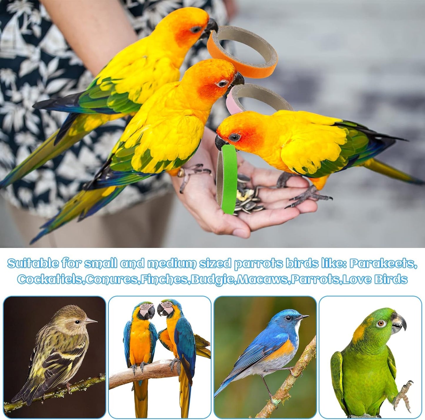 Jenaai 24 Pcs Chew Bagels Bird Toys for Parrots 2.4 Inch Wood Bird Chew Toys Colorful Cardboard Foraging Chew Foot Wooden Training Toy for Cockatiels Cockatoos Macaws and Similar Sized Pet Birds