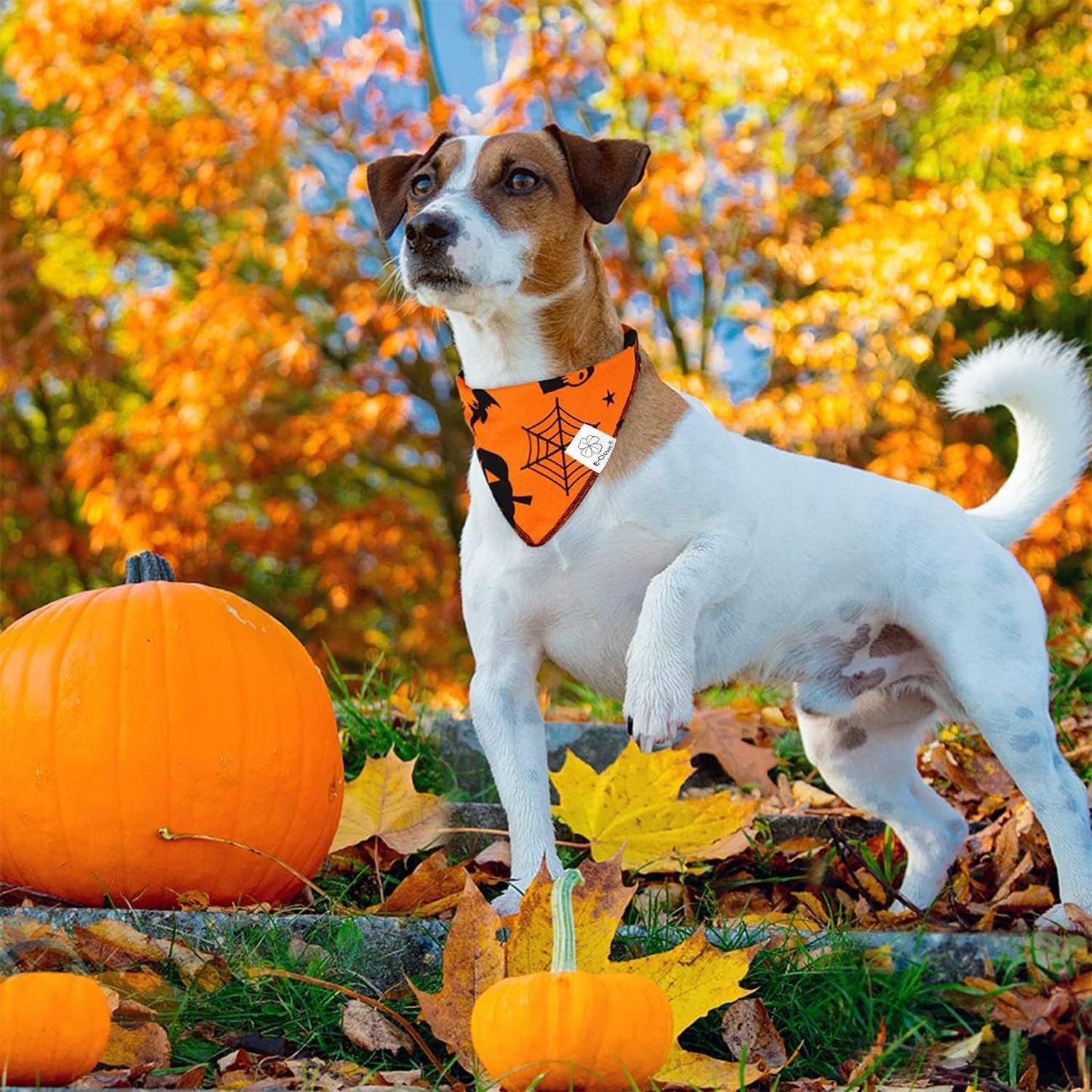 E-Clover Halloween Dog Bandanas & Matching Scrunchie Set Pumpkin Dog Bandana Triangle Pet Bibs Scarf Outfit for Small Medium Large Dogs Owner Orange Fall