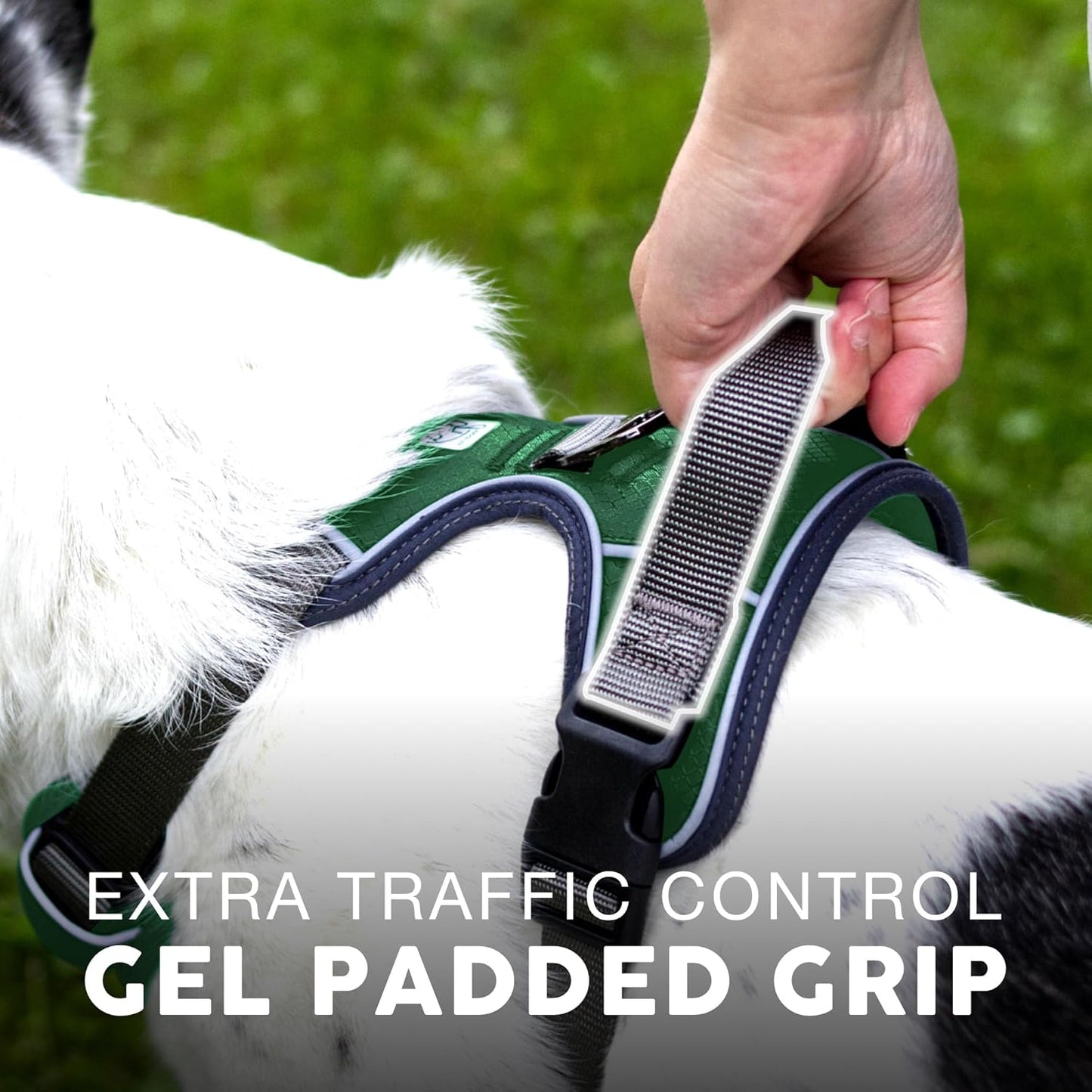 Embark Adventure Dog Harness, Reflective Trim No Pull Dog Harnesses for Small Sized Dogs - Military Grade Nylon, Front Clip with Gel Lined Handle.