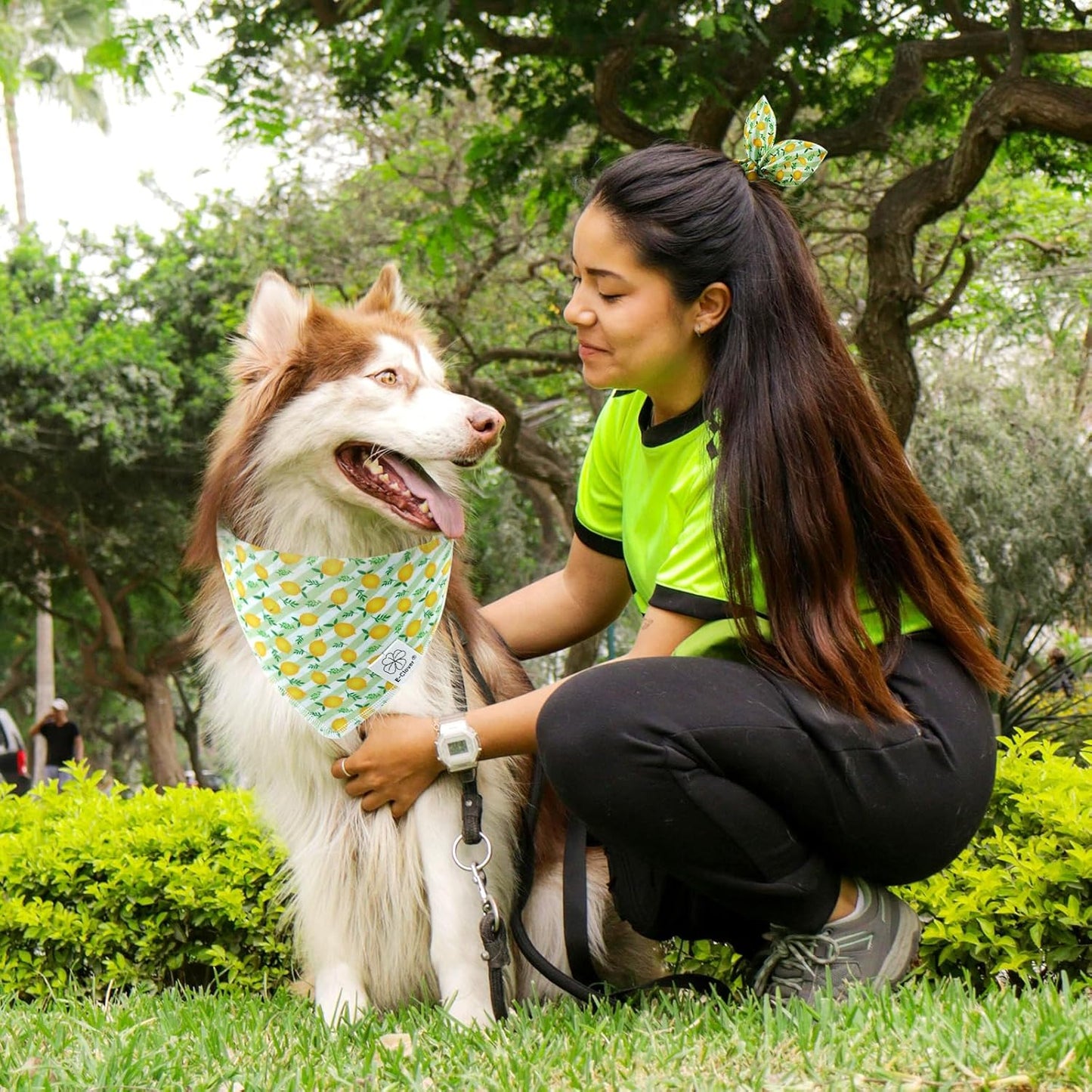 E-Clover Summer Lemon Dog Bandanas & Matching Scrunchie Set Green Stripe Dog Scarf Bibs Pet Bandana with Bow Tie for Small Dogs Puppy Owner Mom