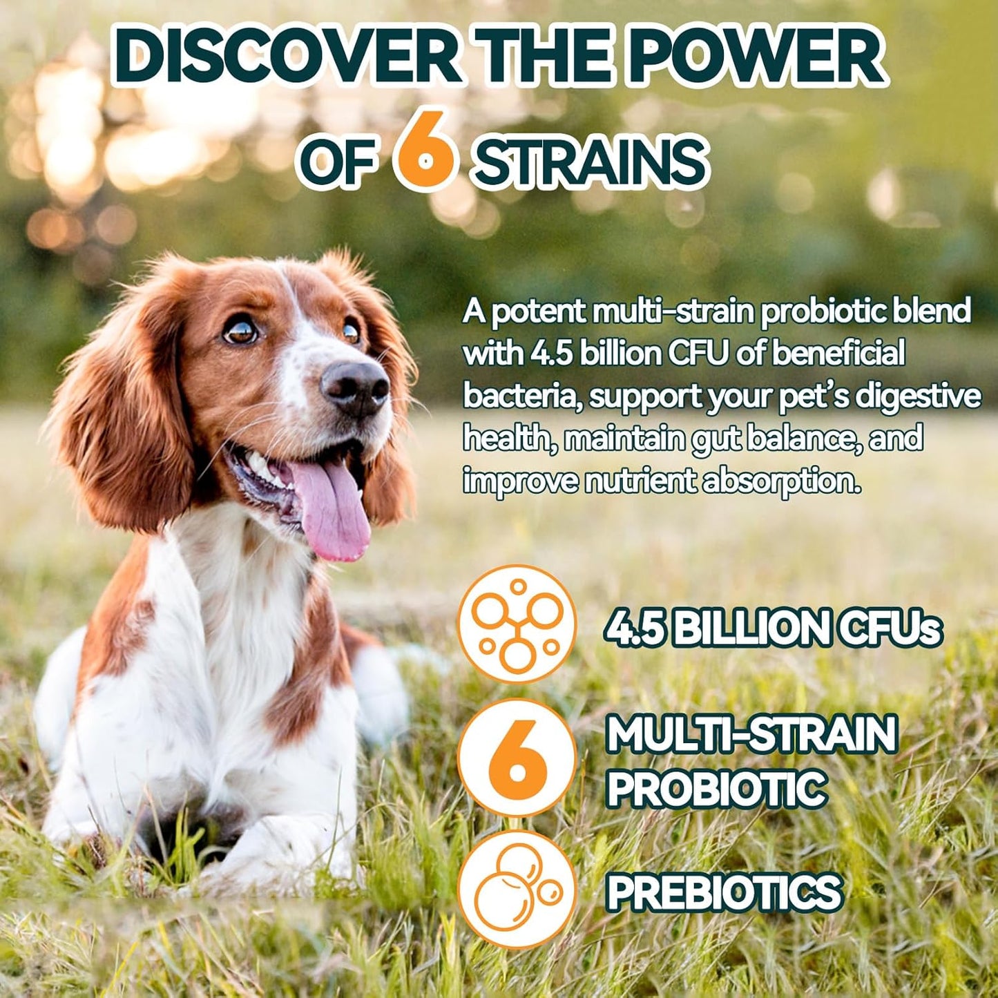 Probiotics for Dogs, 200 Soft Chews Digestive Probiotics & Enzymes for Gut Health with Pumpkin, Fibre for Dogs Anti Diarrhea, Upset Stomach, Gas Relief, Itchy Skin & Immune Support (Chicken)