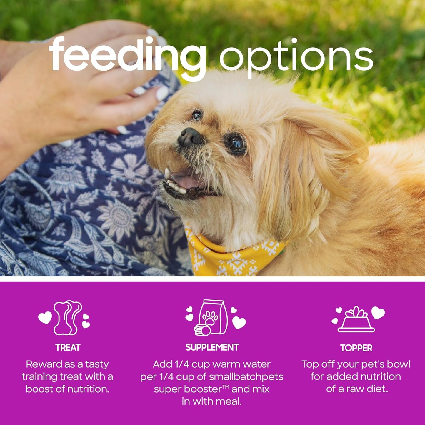 smallbatch Freeze Dried Dog Treats, Superfood Food Topper Turkey Bites for Dogs & Cats, Probiotics, Organic Ingredients, High Protein, Grain Free Healthy Food Topper, Made in The USA, 18 oz Bag