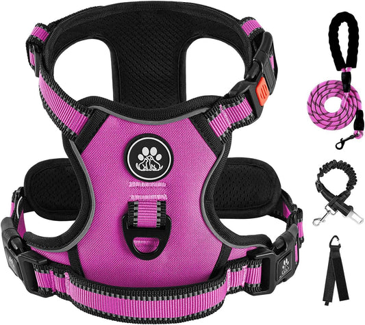 IVY&LANE No Pull Dog Harness for Medium Dogs,Dog Vest Harness with Leash,Safety Belt and Storage Strap, Fully Adjustable Harness,360° Reflective Strip,Soft Handle (Fuchsia Pink,M)