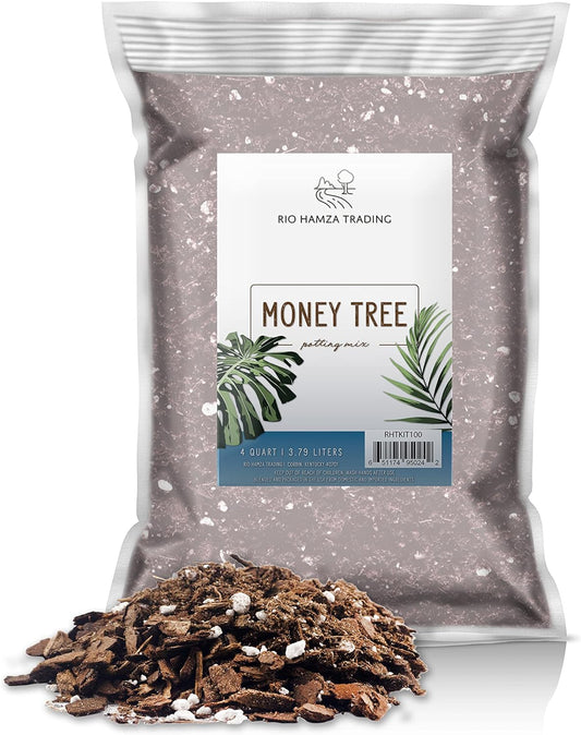 Money Tree Soil (4 Quarts), Potting Mix for Planting/Repotting Pachira Aquatica, All-Natural Custom Soil Blend