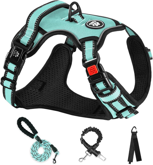 NESTROAD No Pull Dog Harness,Adjustable Oxford Dog Vest Harness with Leash,Reflective No-Choke Pet Harness with Easy Control Soft Handle for Large Dogs(X-Large,Turquoise)