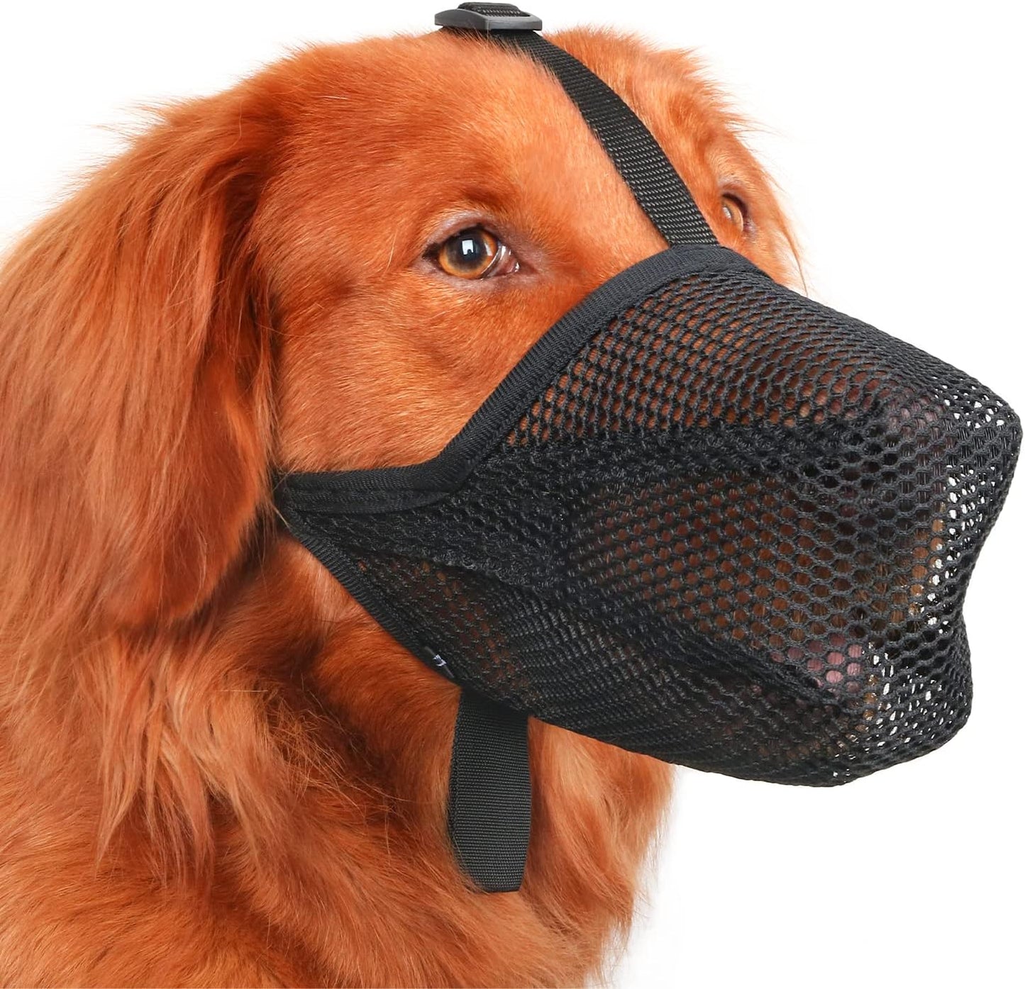 Mayerzon Dog Muzzle, Patented Soft Mesh Muzzle for Small Medium Large Dogs for Scavenging Biting Licking and Chewing, Allows to Pant and Drink (M, Black)