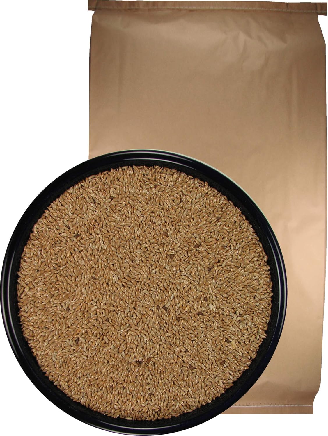 SLEEK & SASSY Canary Seed for Birds (20 lbs.)