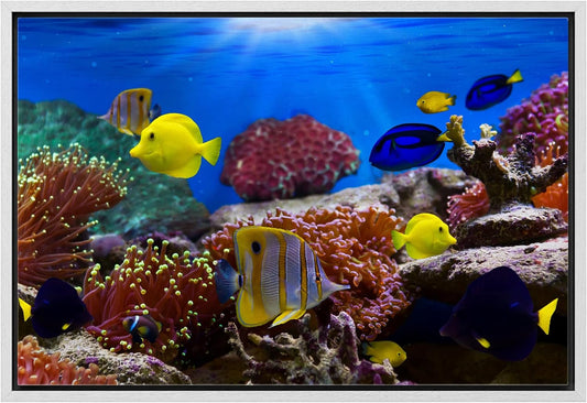 wall26 Framed Canvas Wall Art - Coral Reef and Tropical Fish Under The Ocean | Modern Home Art Framed Canvas Prints Gallery Wrap Giclee Printing & Ready to Hang - 16"x24" White