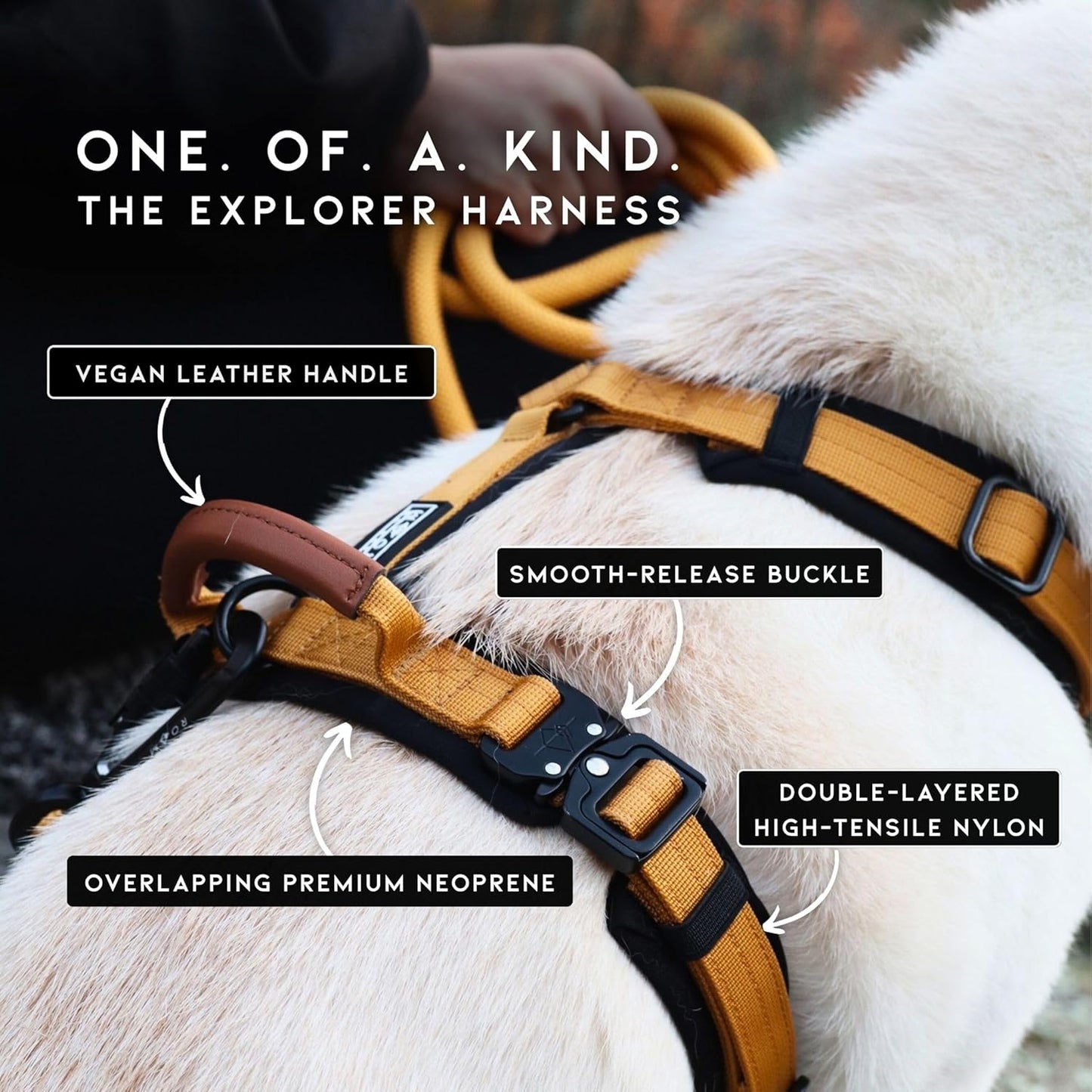 MADE TO ROAM Premium Explorer Harness - Y-Shaped Dog Harness with Adjustable Durable Nylon, Soft Padding, Metal Buckles and Leather Handle for Small, Medium, Large Dogs (Arizona Heartbeat, Size 7)