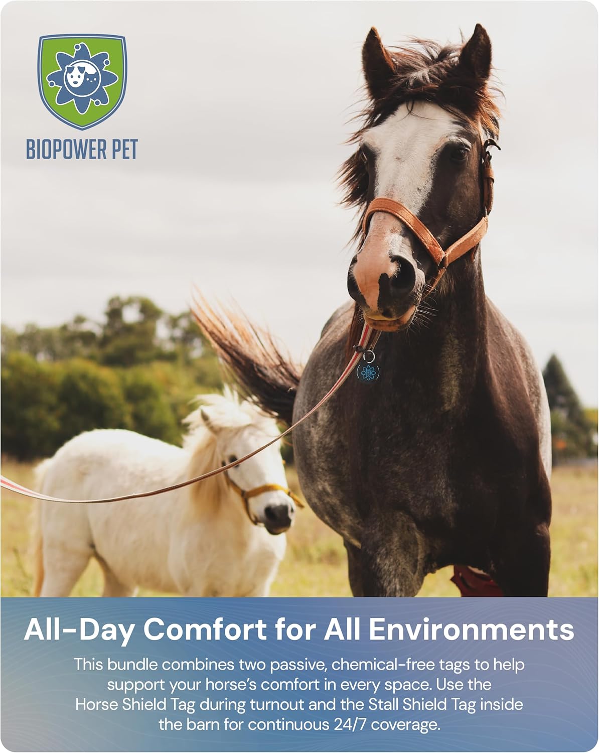 BioPower Natural Fly & Tick Repellent for Horses - Horse Shield and Stall Tags with 1-Year Bioresonance Protection – Chemical-Free, Waterproof Carbon Tag Clips to Halter – Holistic & Safe Pest Defense