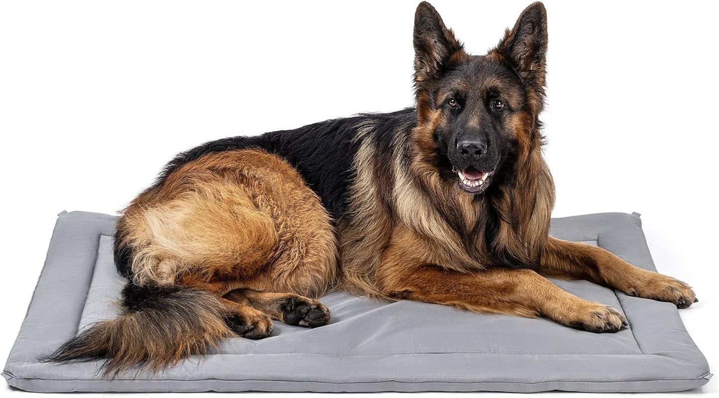 Cybarmour Chew Proof Dog Crate Pad - Outdoor Indestructible Dog Bed - Tough - Potable - Machine Washable - Water & Dirt-Resistant - Extra Large Breeds & Fits 48-Inch Crate - 47"x29", Limestone