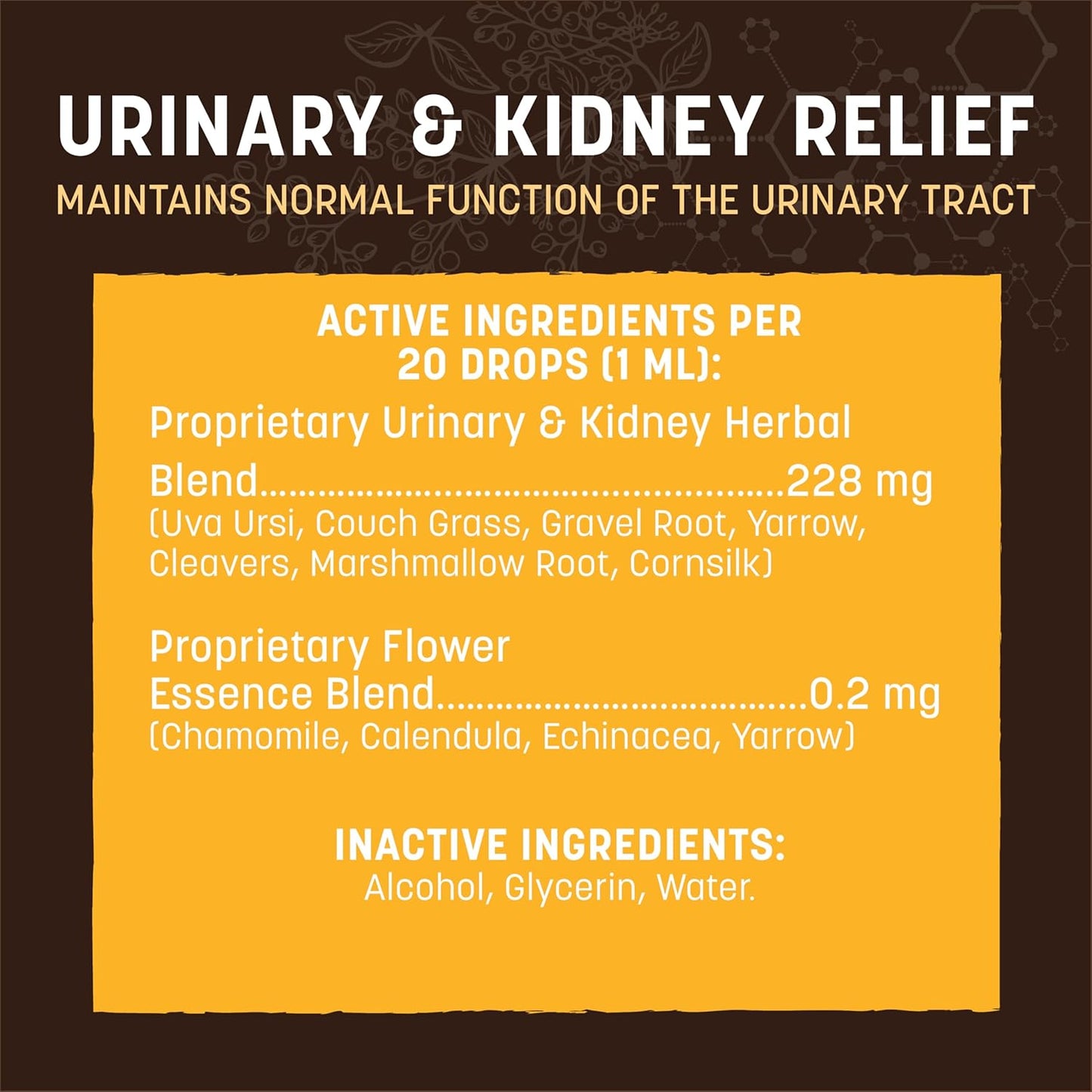 Earth Animal Herbal Remedies | Urinary and Kidney Relief | 2 fl oz