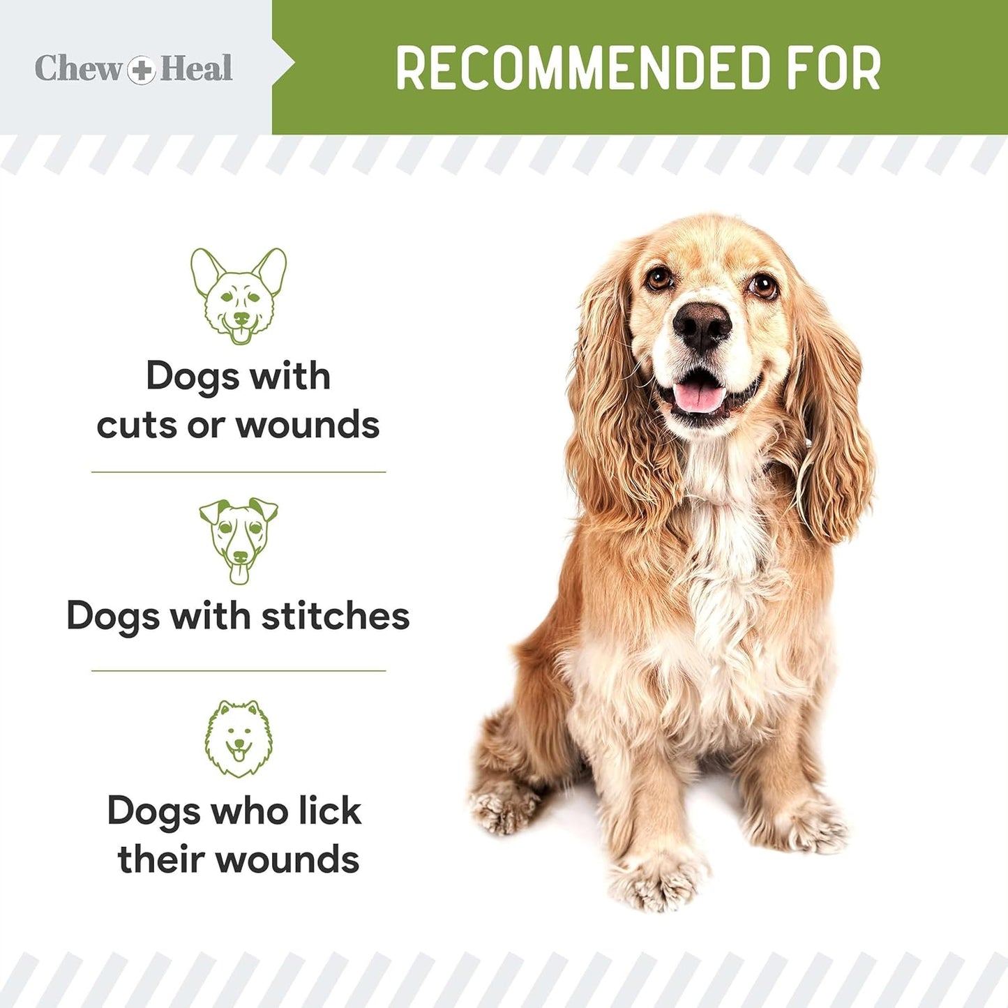 Pet Liquid Bandage for Dogs - 4 oz Spray with Aloe - Wound Care for Dogs Including Cuts, Scrapes, and Stitches - Breathable and Waterproof