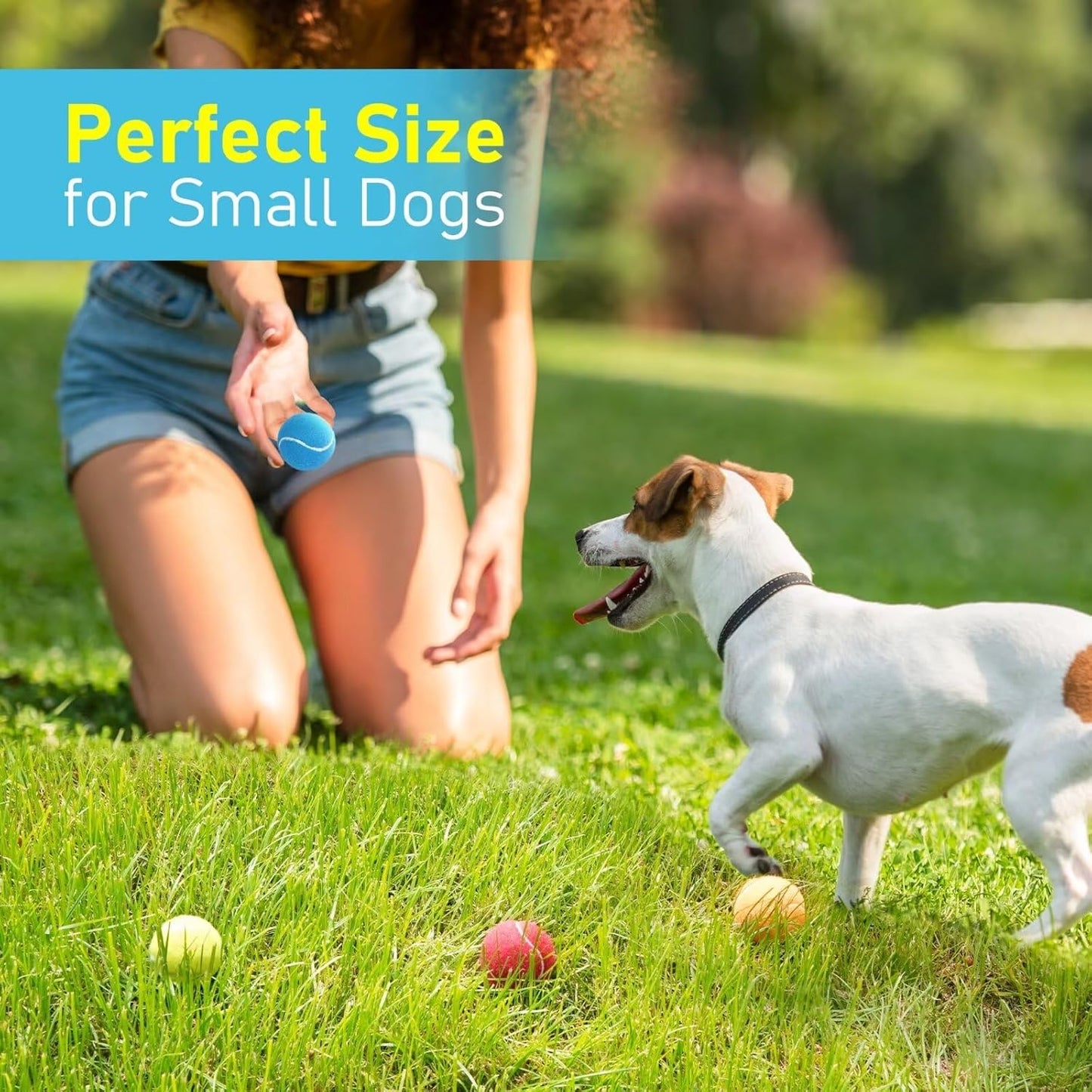Prime Pets Mini Tennis Balls for Dogs, 2 Inch Squeaky Dog Toys, Interactive Dog Toy Balls for Indoor Outdoor, Squeaky Toys for Small & Medium Dogs