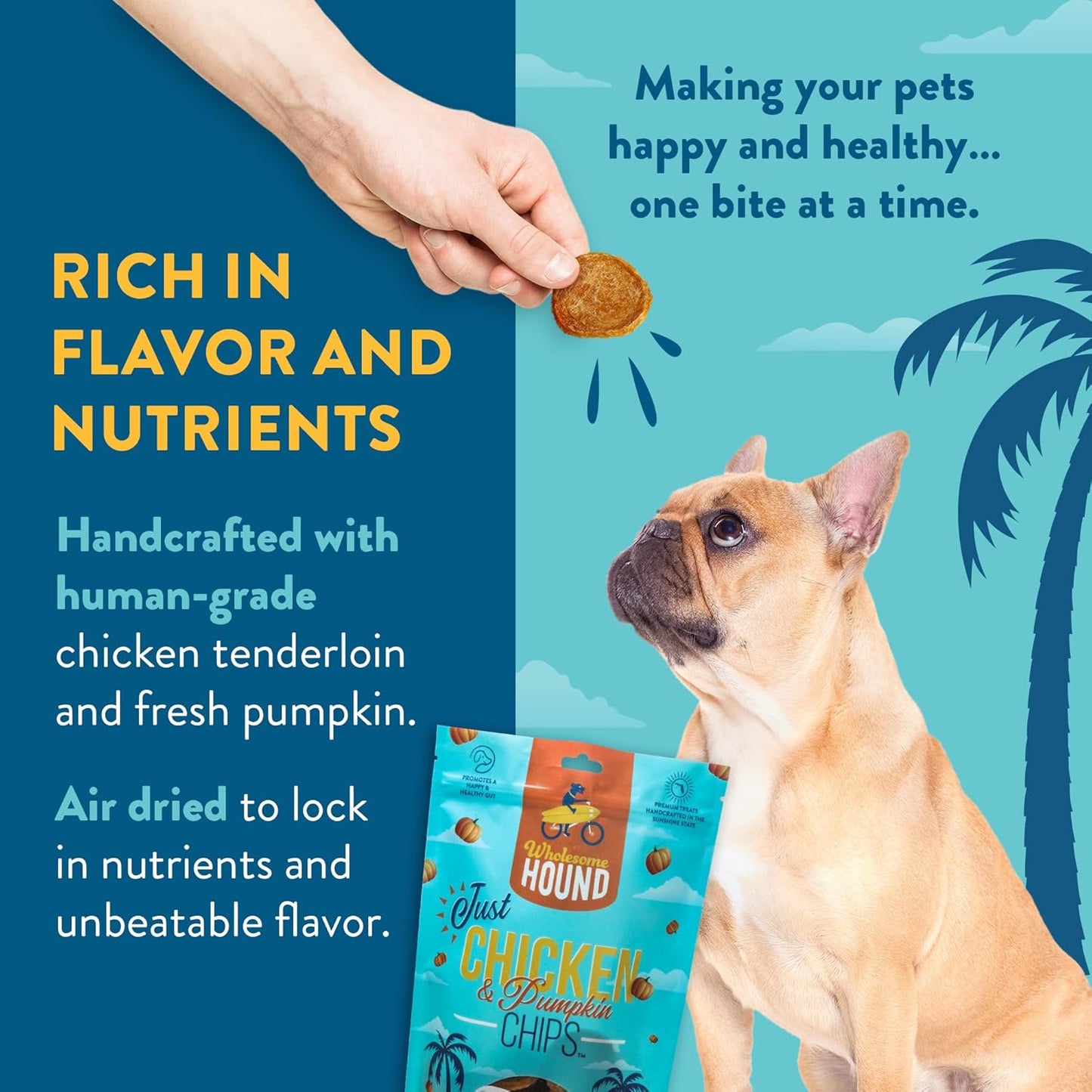 Chicken & Pumpkin Chips – 2 Simple Ingredient Dog Treats, All Natural & Healthy Training Snacks for Small, Medium & Large Breeds, Puppies – High Protein, Made in USA 7oz