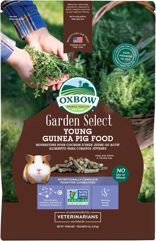 Oxbow Garden Select Guinea Pig Food, Young, Made Alfalfa for Guinea Pig, Pet Food Pellets with Vitamin C, Non-GMO, No Soy, Small Animal Pet Products, Made in USA, High Fiber, 4 lb. Bag
