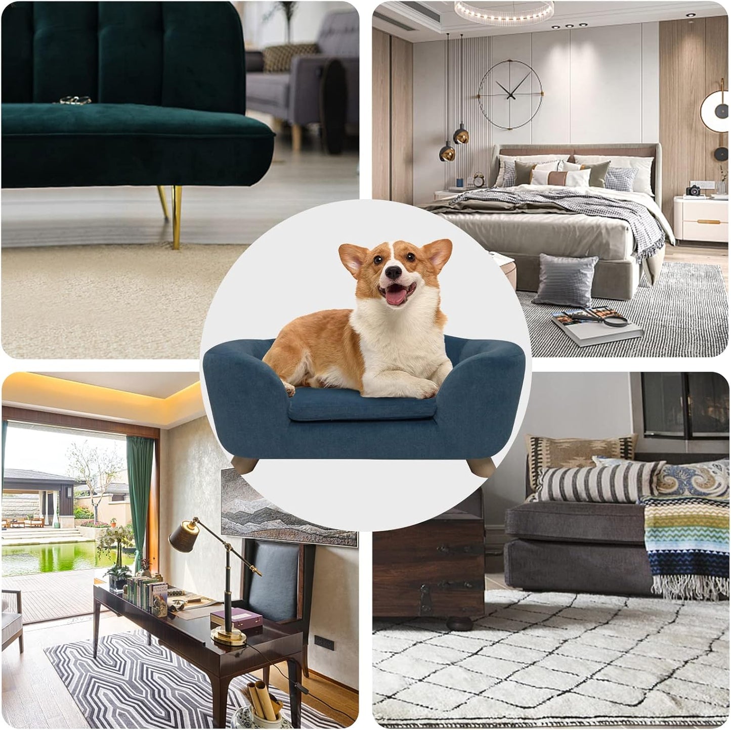 SHAVI Pet Sofa Dog Couch for Small Pet Dog and Cats, Low Back Lounging Bed with Velvet Modern Cat Couch Easy-to-Clean(Blue)