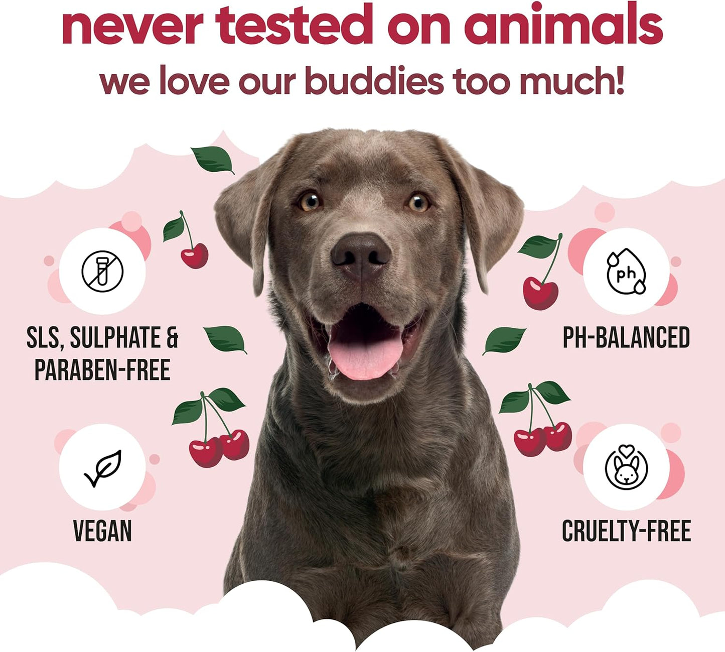 Black Cherry Dog Shampoo by Buddycare | Deep Cleansing Shampoo for Dogs | Black Cherry Scented | with Aloe Vera and Pro Vitamin B5 (50.72oz)