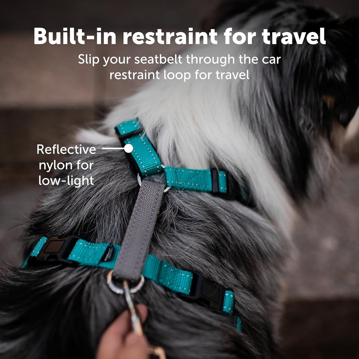 PetSafe 3 in 1 Dog Harness - No Pull Solution for Dogs - Reflective Dog Harness - Front D-Ring Clip Helps Stop Pulling - Comfortable Padded Straps - Top Handle Enhances Control - Plum - Small
