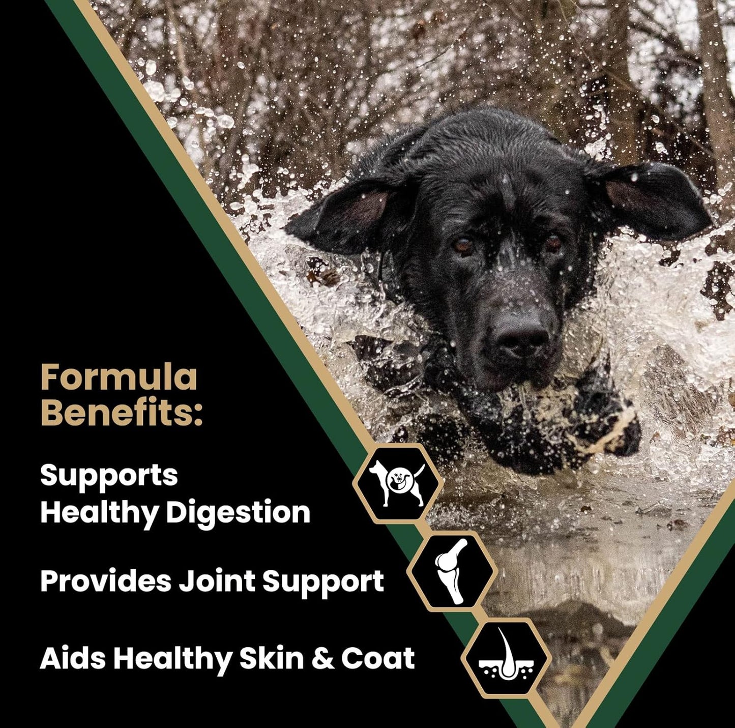 VICTOR Super Premium Dog Food – Performance Dry Dog Food from Beef, Chicken and Pork Meal – 26% Protein for Active Adult Dogs – Includes Glucosamine and Chondroitin for Hip and Joint Health, 40lbs