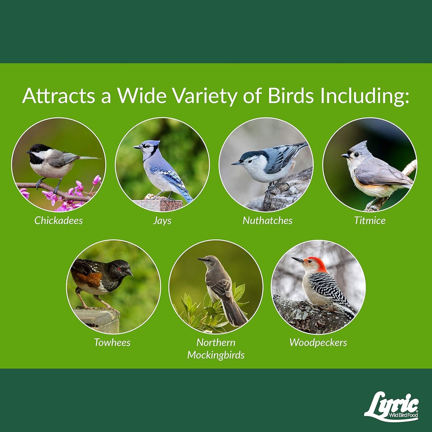 Lyric Woodpecker Wild Bird Seed, No Waste Bird Seed with Nuts, Dried Fruit & Shelled Seeds - 5 lb. Bag