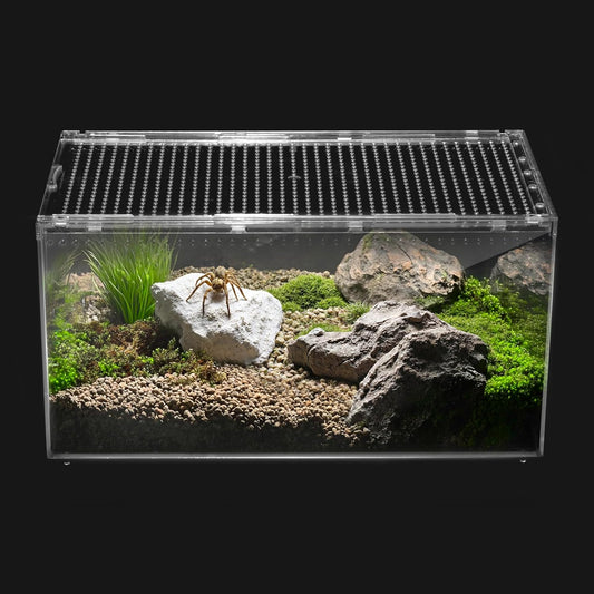 Reptile PC Terrarium,Spider Tank Starter Kit,Leopard Gecko Container,Tarantula Cage,Hermit Crab Habitat,Lizard Enclosure,Insect Housing,Jumping Spider Enclosure,Small Bearded Dragon Vivarium