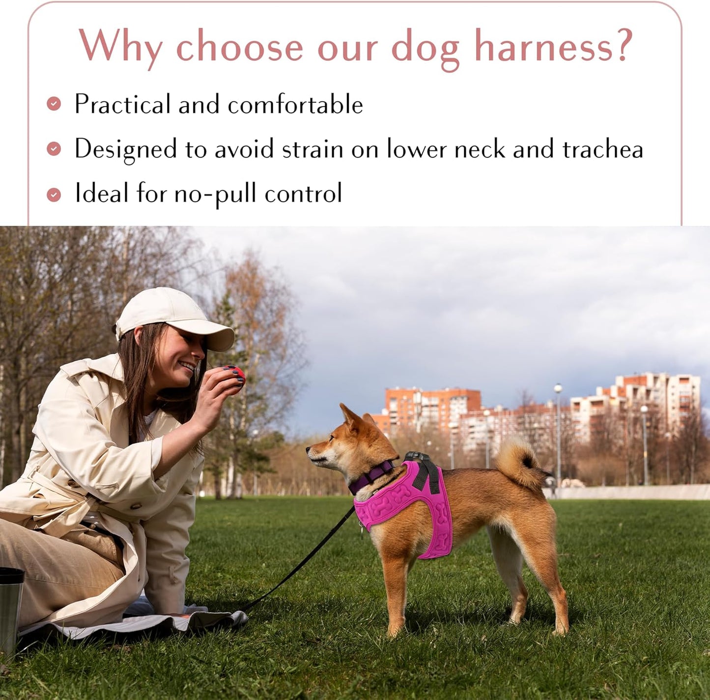 Comfort fit Step-in Dog & Puppy Harness - Comfortable All Weather Dog Vest Harness: Adjustable, Soft Padded, Easy to Put-on for Small, Medium-Sized Dogs.